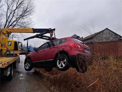 佳县楚雄道路救援